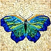 La Farfalla,
by Julie Richey, TX