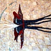 Notable Work

Columbine,
by Karen Chrisman, MA