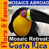 Mosaic Retreat: Costa Rica
Flora & Fauna
Carol Shelkin and Pam Goode
November 23 - December 1, 2013