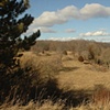 Tuscany in Michigan