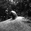 Growth, Bandolier National Monument, New Mexico