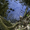 Blue Pool, Adlai's Woods