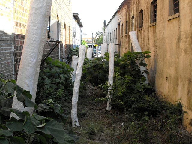Ghost Trees