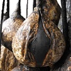 Fire Ecology (detail)