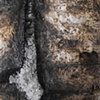Salted With Fire (detail)
