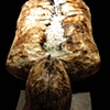 Salted With Fire (detail)