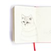 sketchbook