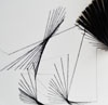deconstruction of motion.