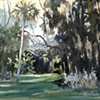 A  Bit of Light at Fair Oaks
