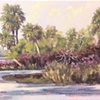 Merritt Island Winter
