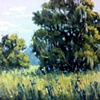 Field Two Trees at
Fair Oaks
