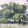 Richeson Farm
