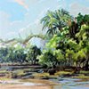 Dunes and Mangroves