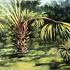 Bird Island Palm