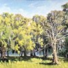North Florida Trees