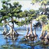 Bald Cypress Trees