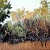 Fish Prairie
Artists in Residence Project Painting