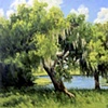 Oak on the Pond