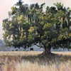 Wood Farm Tree