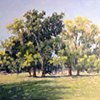 Cusp of Spring- Field Three