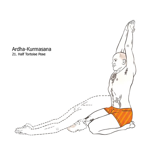 Nancy    Pose Cuervo pose Kurmasana illustration kurmasana Half Ardha Tortoise ardha