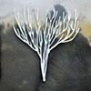 Sea Fan 1