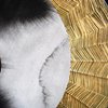 Golden Sphere (detail)