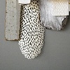 Urchin Drip (detail)