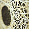 Outward Circulation (Detail)