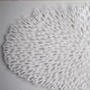 White Burst