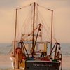 Weedhopper Rigged for Shrimp