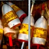 Buoy Magic