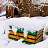 Spring?