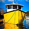 Ole Roofus II