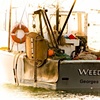 WEEDHOPPER