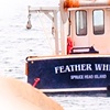 Feather White