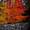 Fall, definately Fall