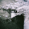 Snowy Creek