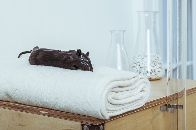 Testing Testing and Lab Rat
