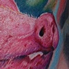 Bacon