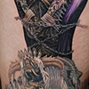Jay's Leg