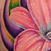 Lily