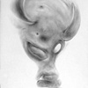 Vorlorn