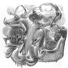 Vumb