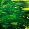 Paintings