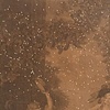 "Oh, Mary, Sophia and Amelia! (three doomed girls under falling stars)"