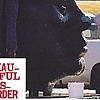 Beautiful Disorder: Man Woman Ahead