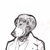 A beagle named Darwin.