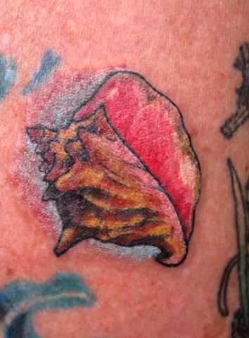 paia tattoo parlor tiny conchshell paia tattoo parlor tiny conchshell