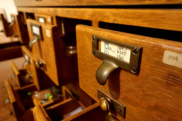 Library, detail